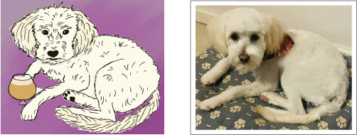 Illustrated portrait of a white dog holding a light beer with a purple background